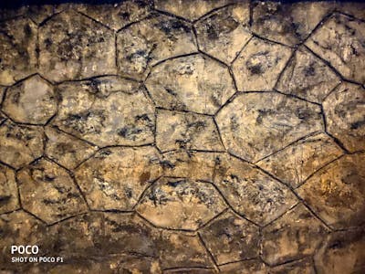 All-Terrain Hiking Boots