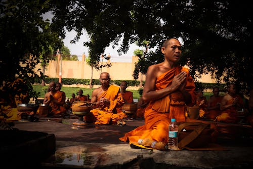 Monks Wearing Orange Robe Mediating