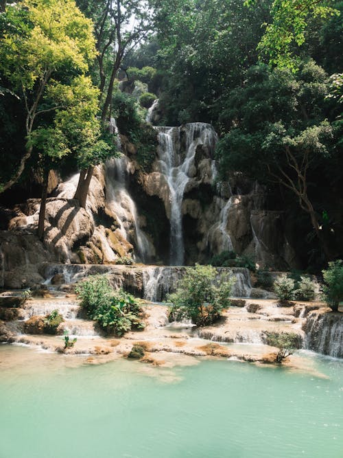 Cascate Tra Alberi