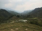 薄雾笼罩的美丽山地水稻梯田，非常适合旅行和自然爱好者