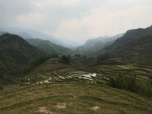 Free Beautiful mountain rice terraces with mist, perfect for travel and nature lovers. Stock Photo
