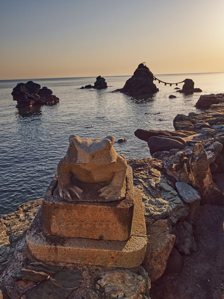 Photo Of Frog Statue