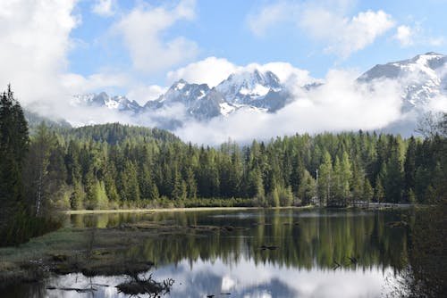 Free Scenic View Of Lake During Daytime Stock Photo