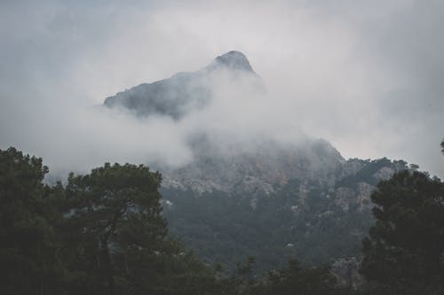 Free gray and white mountains surrounded by trees Stock Photo