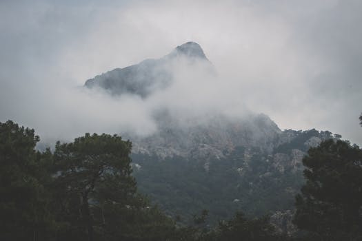穆莫拉拍摄的土耳其郁郁葱葱风景中，神秘的山峰被雾笼罩