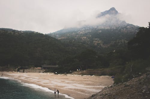 在山與樹附近的海灘照片