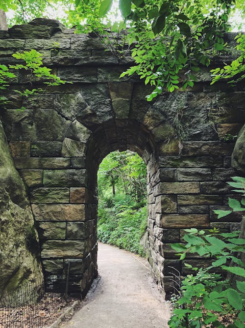 Immagine gratuita di central park, marciapiede, new york city