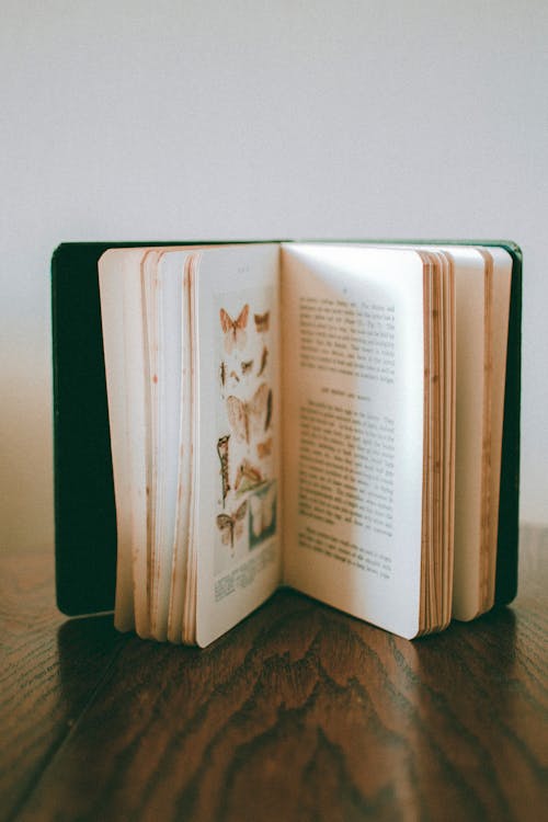 Free Close-Up Photo of Opened Book Stock Photo