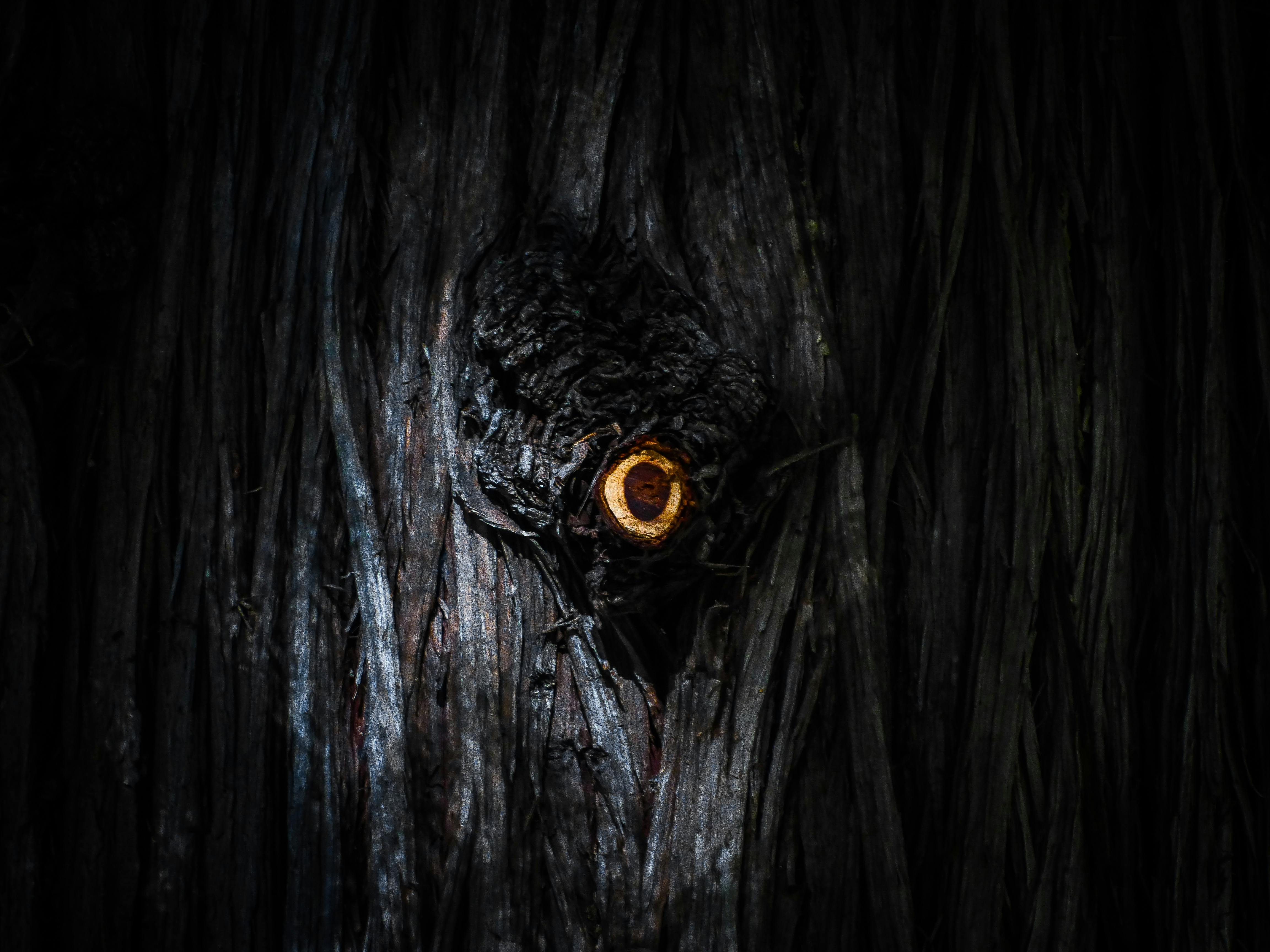 Free stock photo of art, dark, eye