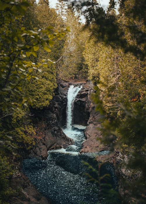 Imagine de stoc gratuită din apă curgătoare, arbori, cascade