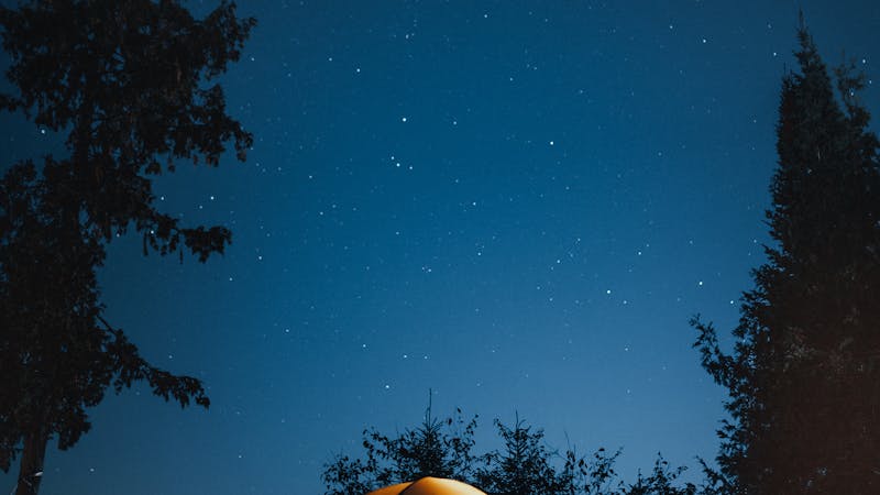 Chien et maître profitant d'un moment en plein air