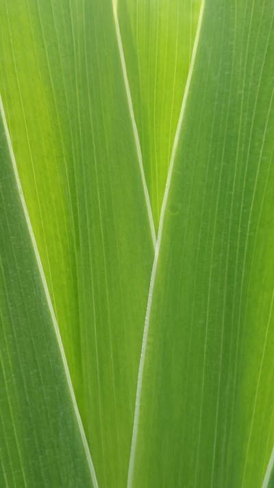 传奇版本更新 新地图