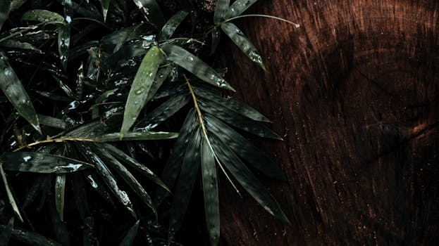 特写镜头捕捉了湿绿的竹叶与深色木材背景，展现了雨水浸泡丛林的本质