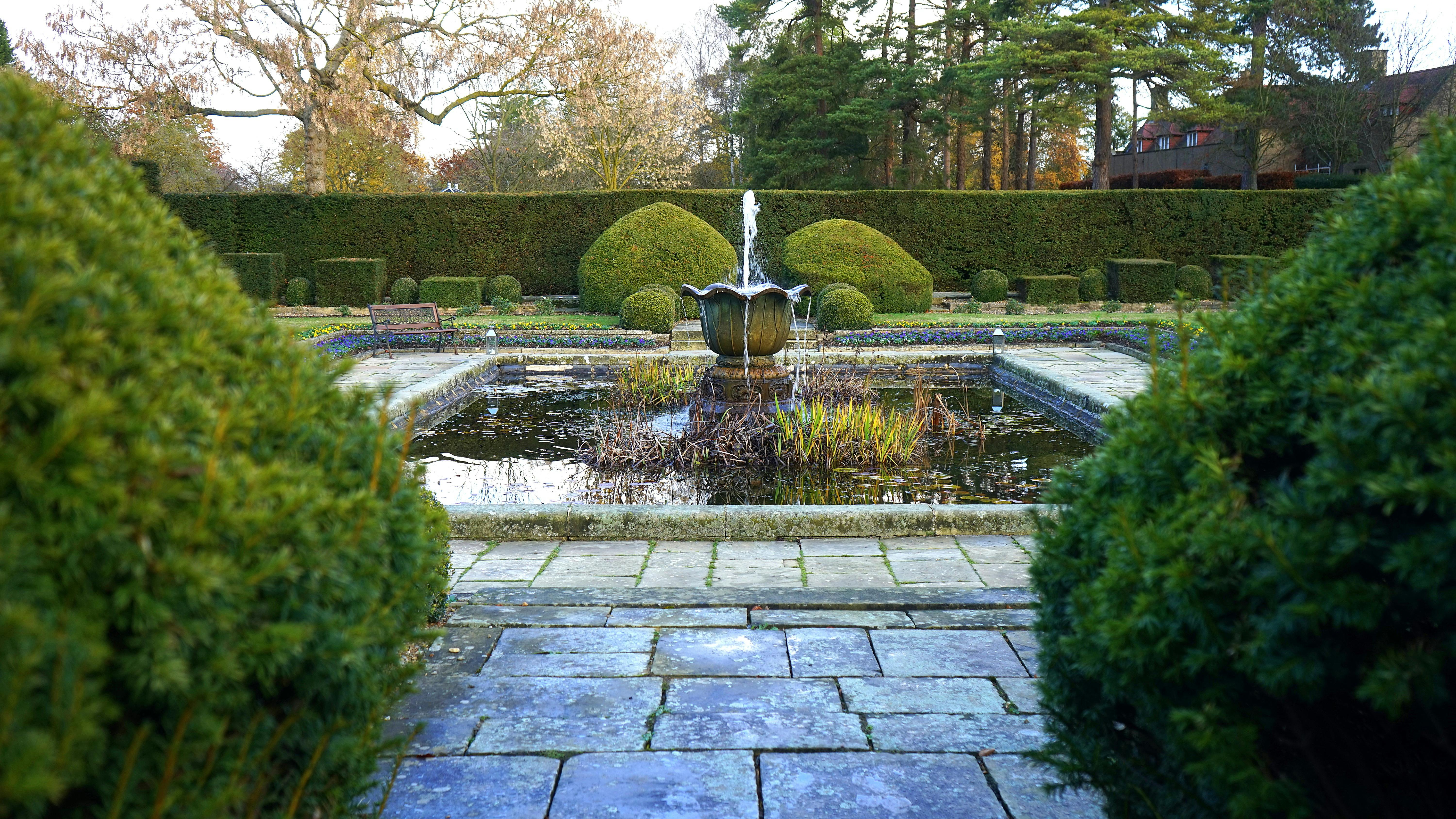 Créez un Oasis d'Eau : Les Meilleurs Conseils pour les Fontaines et Étangs de Jardin