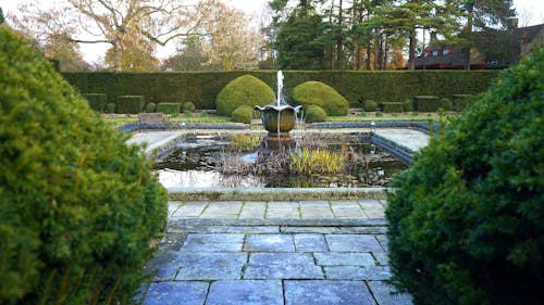 Free Water Fountain Beside Green Leaf Trees Stock Photo