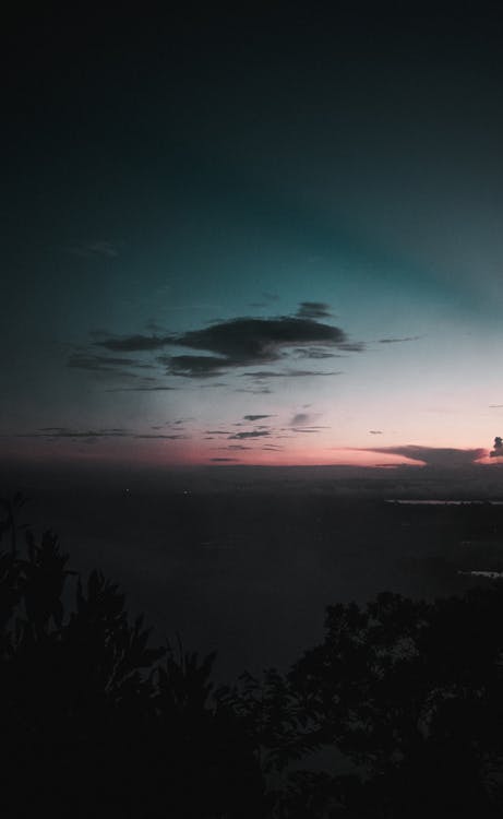 Základová fotografie zdarma na téma horizont, listy, mraky