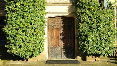 無料 茶色の木製ドア 写真素材