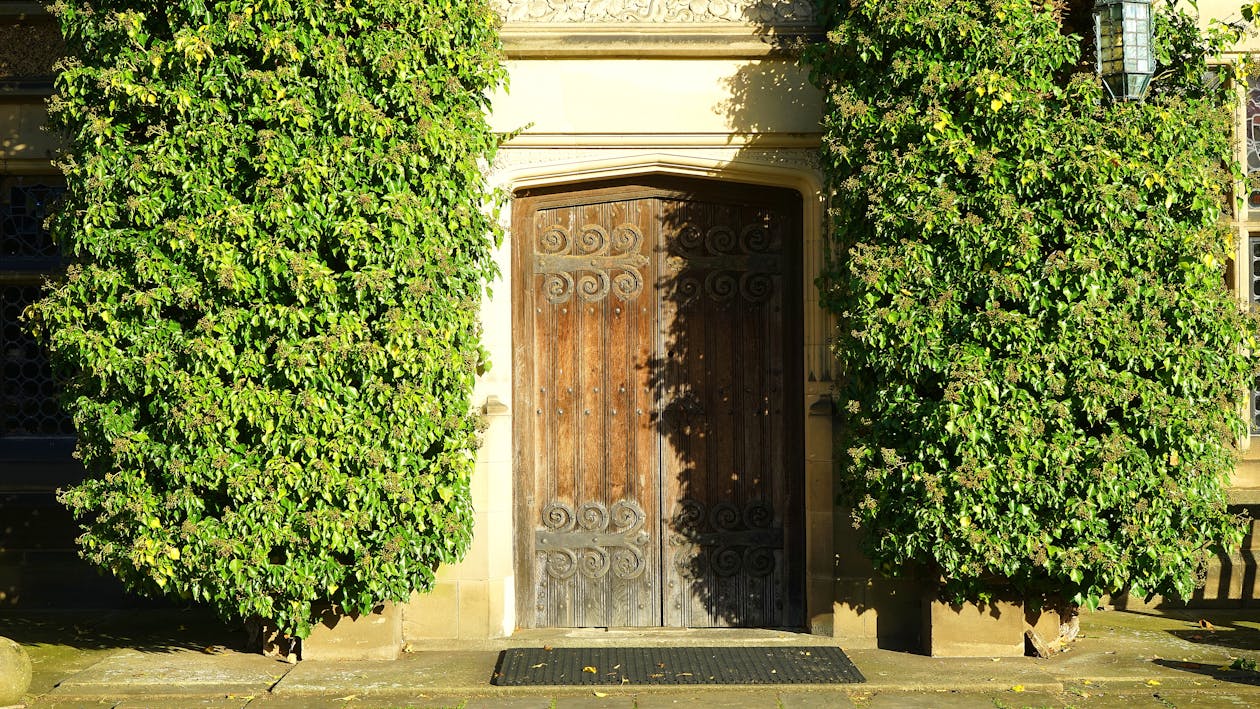 무료 갈색 나무로되는 문 스톡 사진