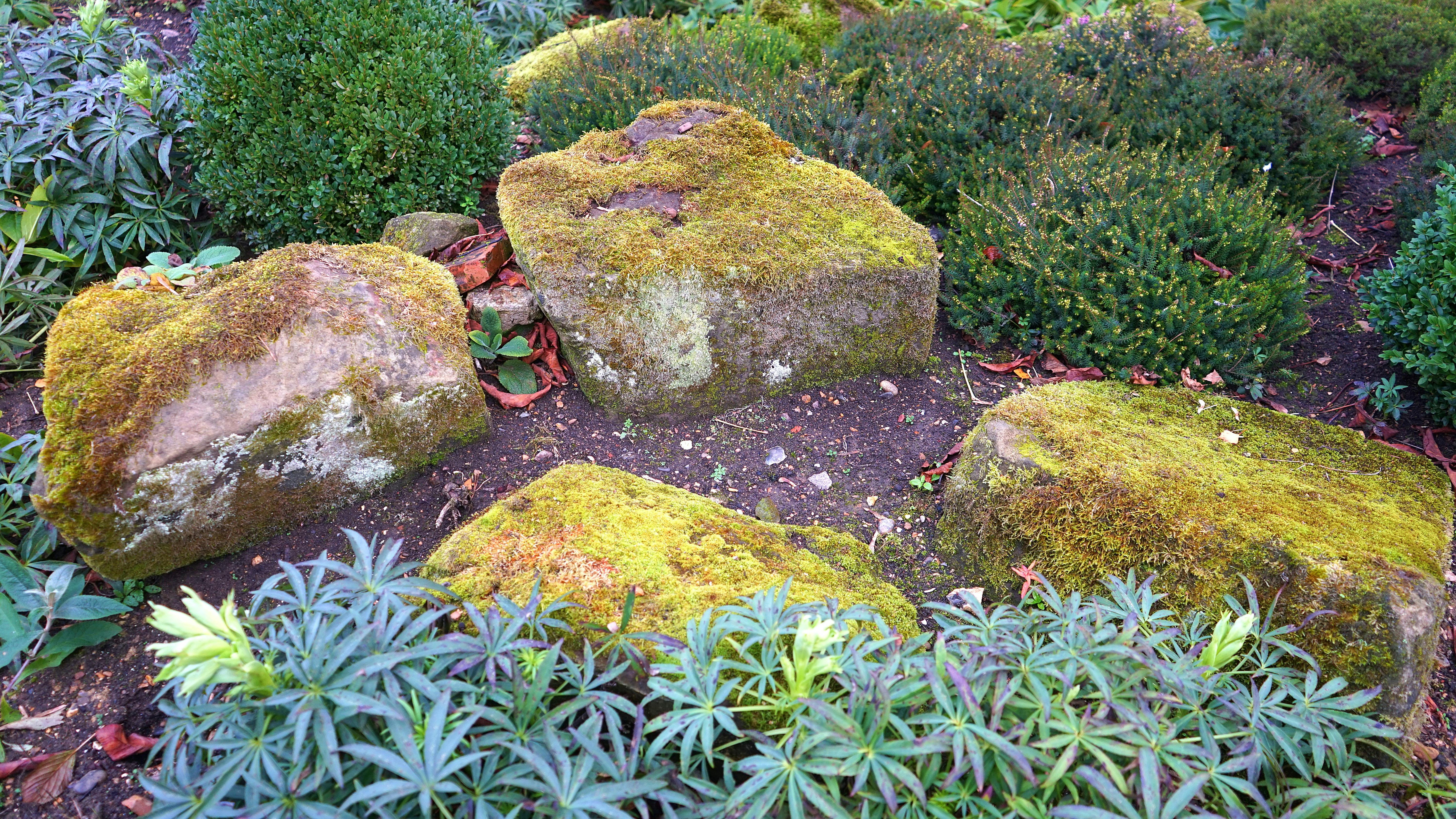 How to stop weeds from growing in rocks