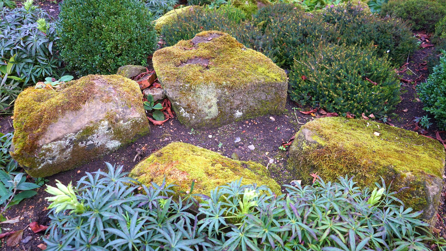 planting on steep garden slope securing plants UK