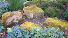 这座花园生机勃勃，青苔遍布，四周环绕着郁郁葱葱的绿植，构成了一幅宁静的户外景致