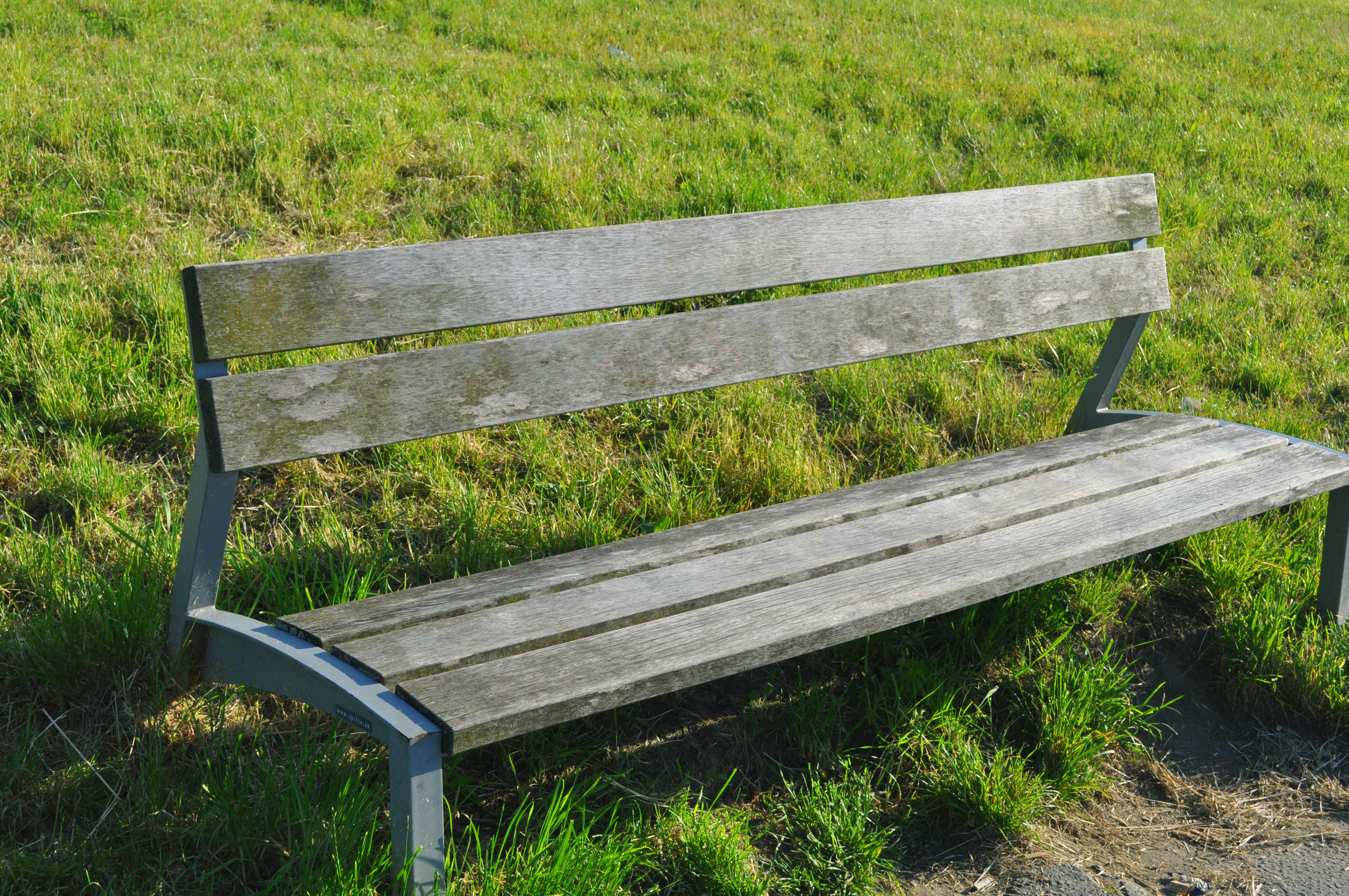 Foto de stock gratuita sobre asiento, banco, césped