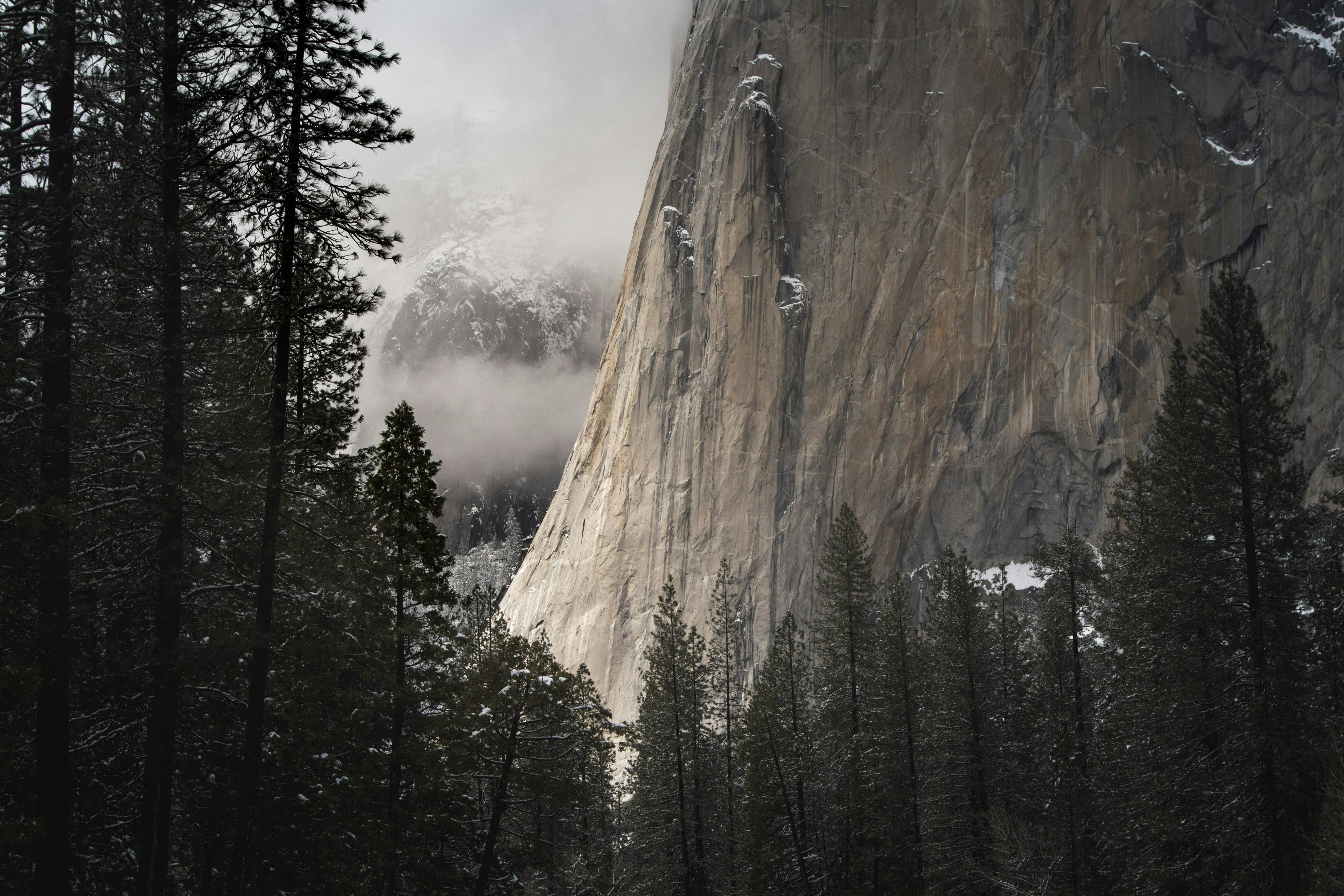 El Capitan Yosemite Park - Free photo on Pixabay - Pixabay