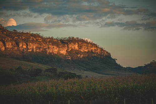 Imagine de stoc gratuită din amurg, apus, arbori