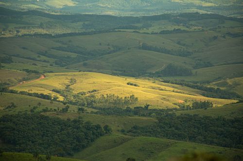 Free Explore serene hills with vibrant greenery under daylight, capturing rural tranquility. Stock Photo