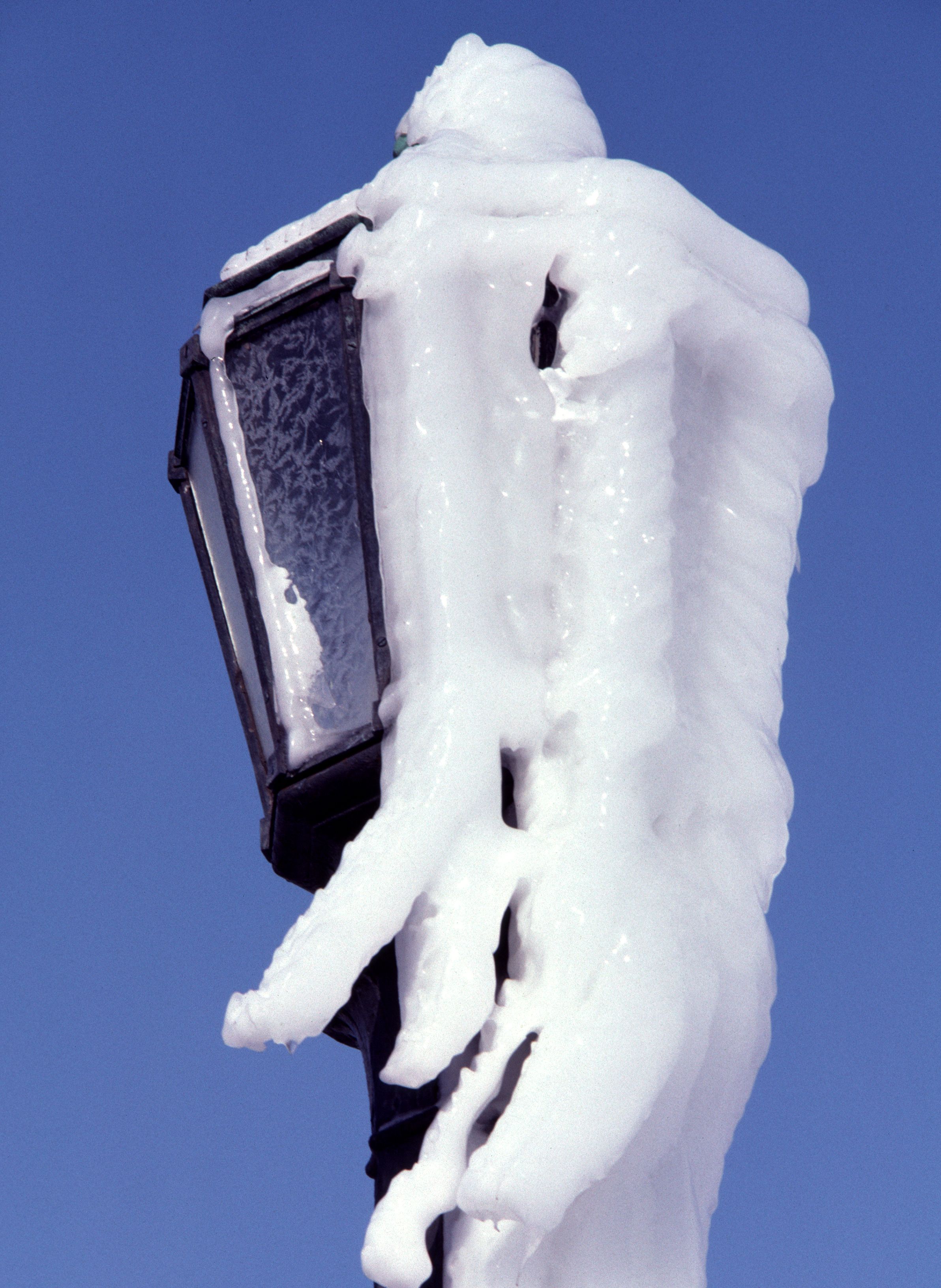 Close-up of a Streetlight Covered with Ice · Free Stock Photo