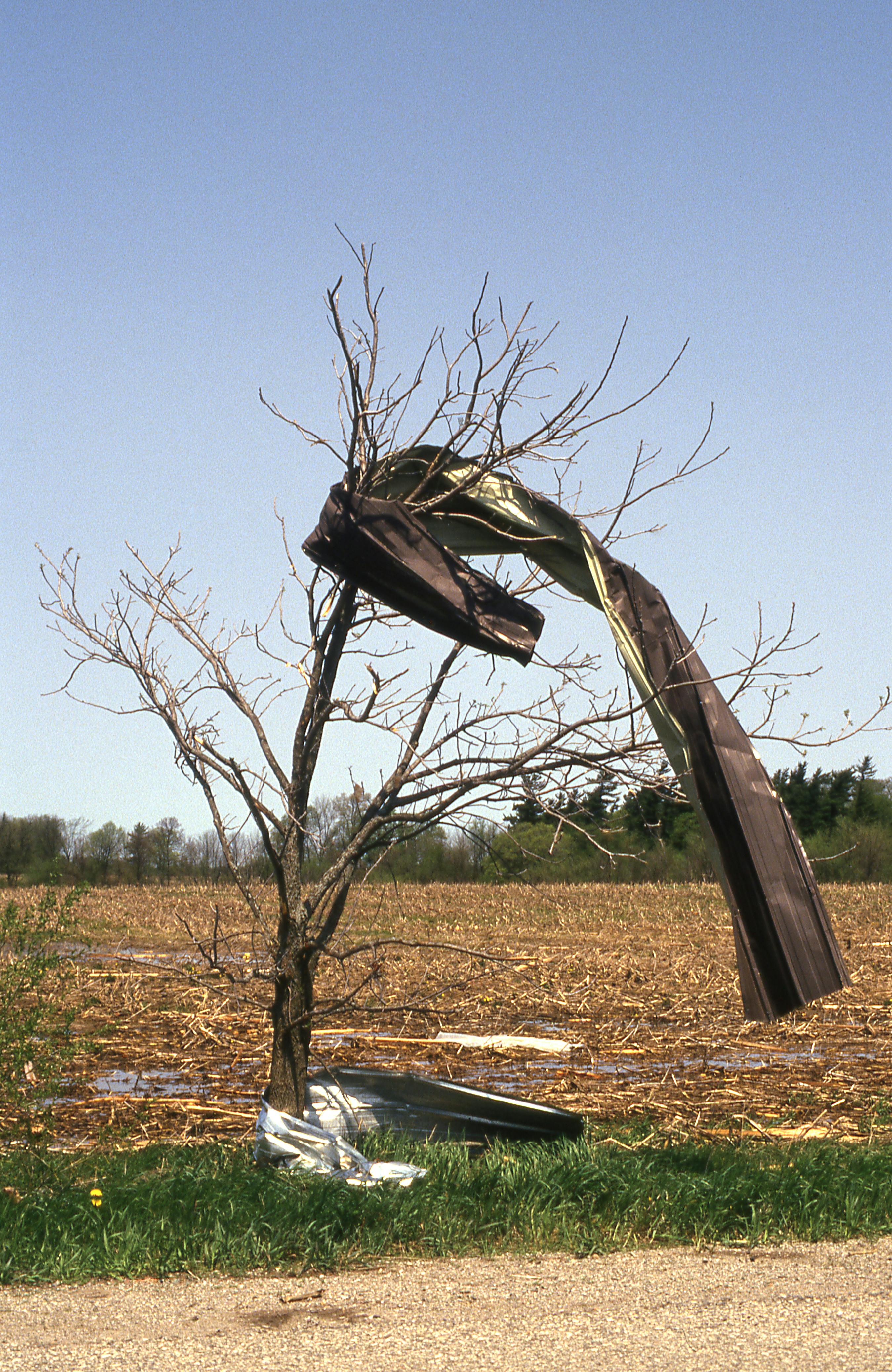 花蓮彩券行全損！天災毀損機制啟動🌪️💔