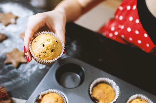 Free Person Holding Muffin Stock Photo