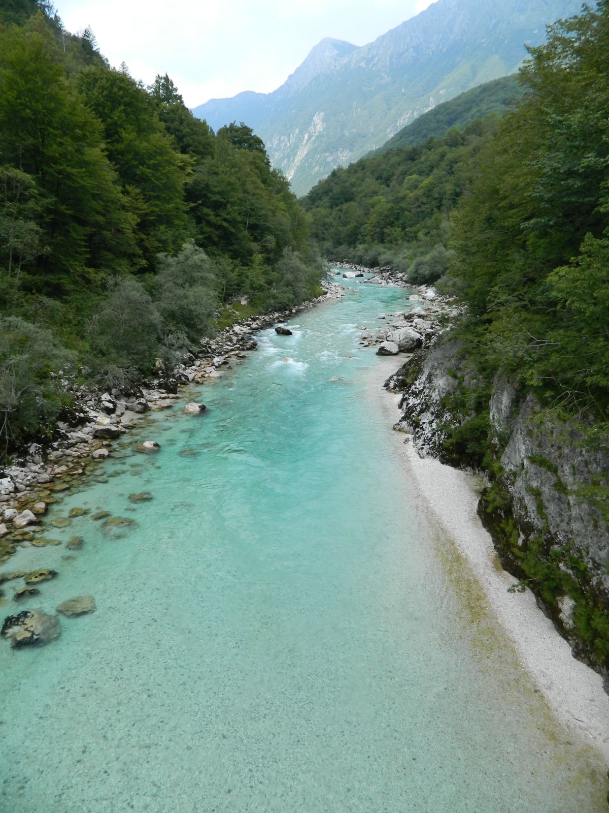 Turquoise Soca river winding through the wooded Julian Alps valley