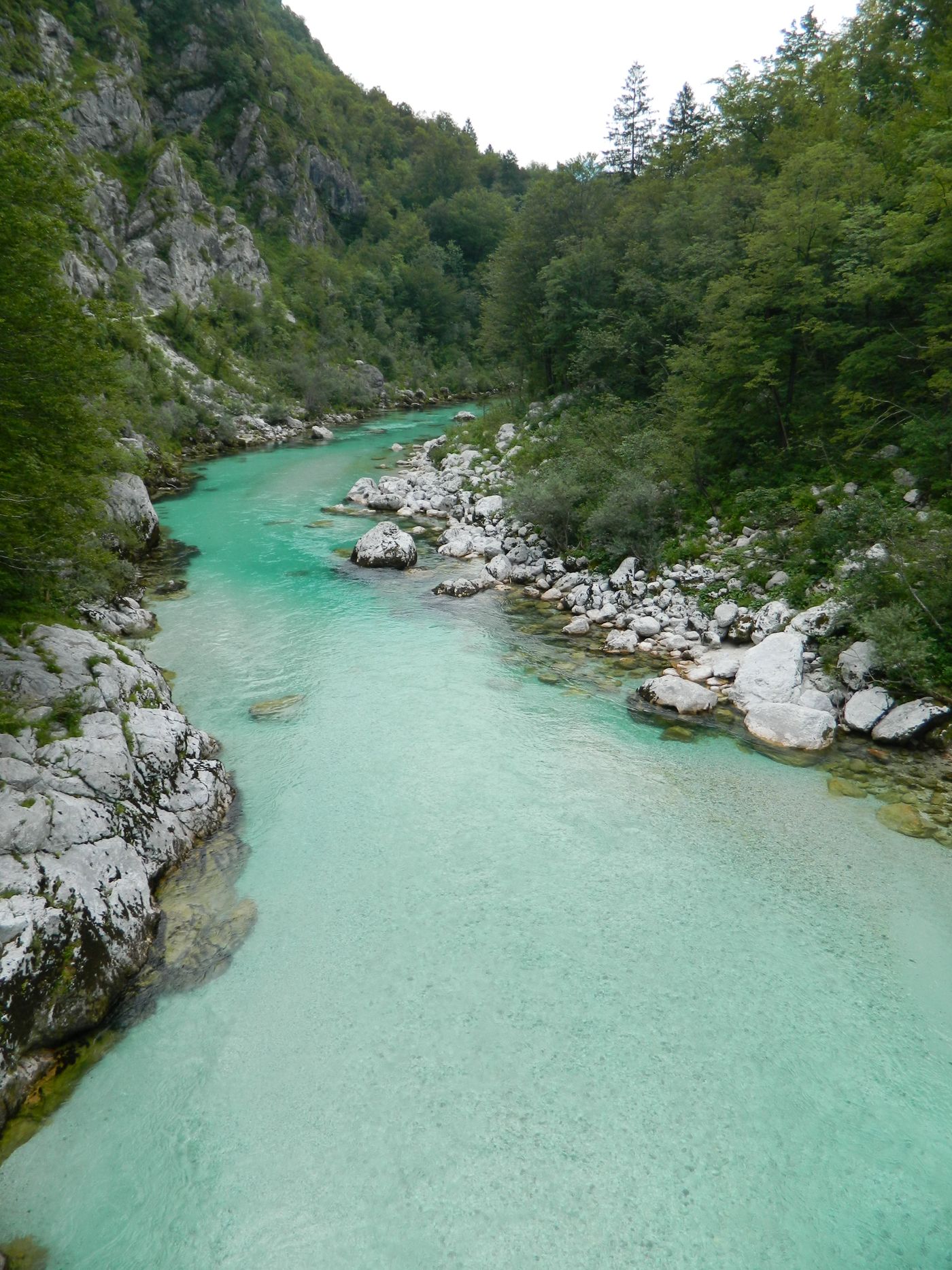 Reka Soča in gozd pri Kobaridu