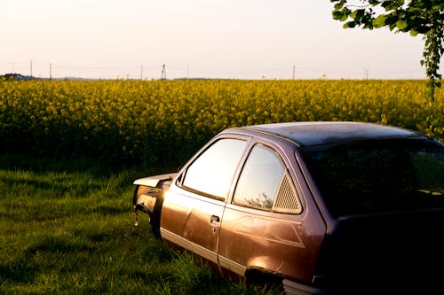 Ilmainen kuvapankkikuva tunnisteilla aurinko, auto, hylky