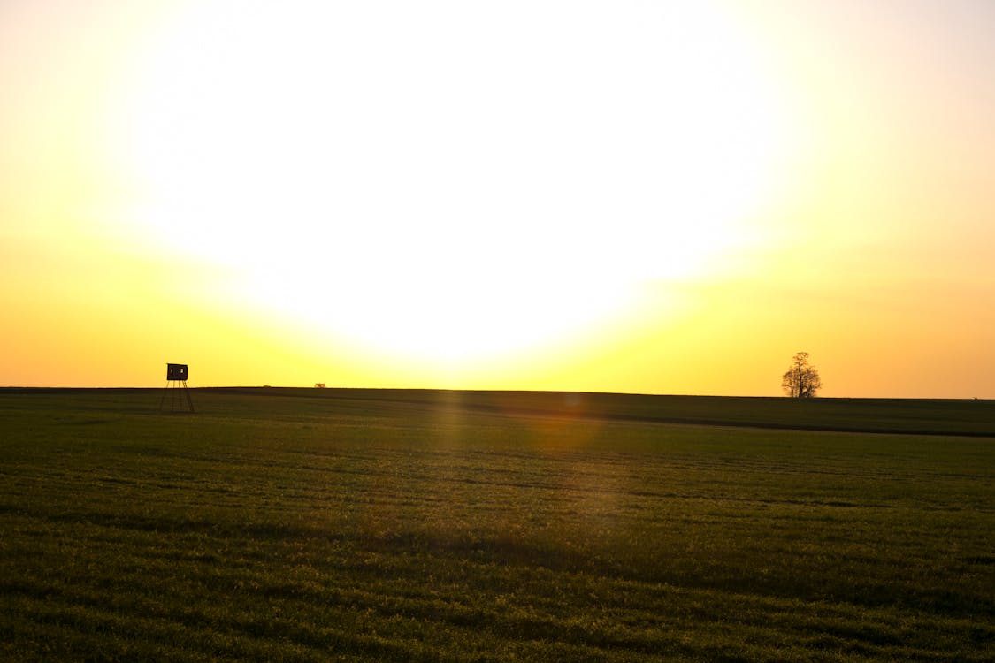 Ilmainen kuvapankkikuva tunnisteilla auringonnousu, aurinko, kenttä