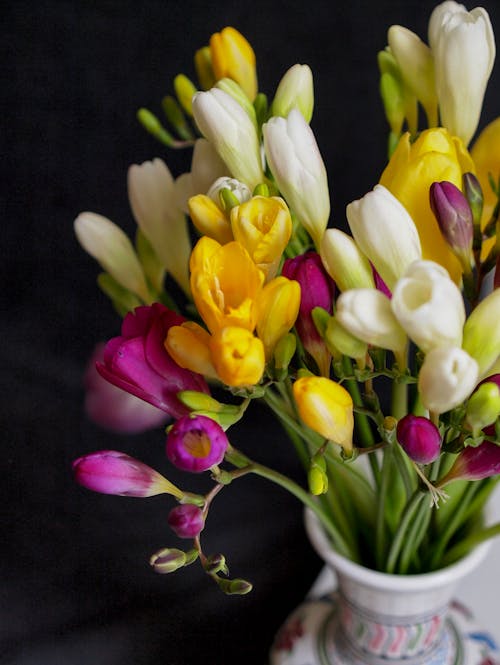 Free Flowers In A Vase Stock Photo