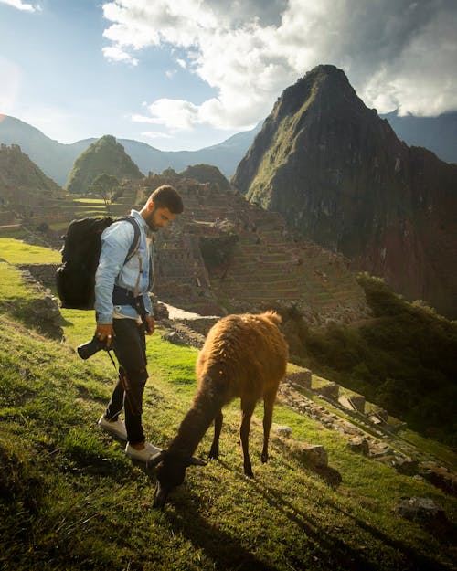 Photo of Man Standing Near Llama