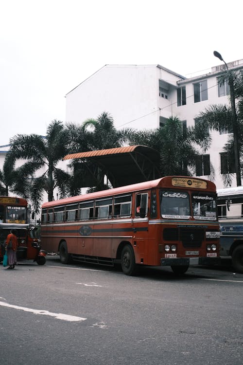 Imagine de stoc gratuită din acțiune, arhitectură, autobuz