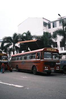 A red vintage bus parked on a palm-lined city street, capturing urban life.