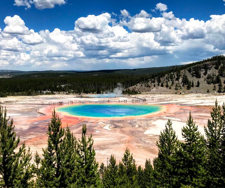 Grand Prismatic Spring Overlook Trail - Randonnée panoramique