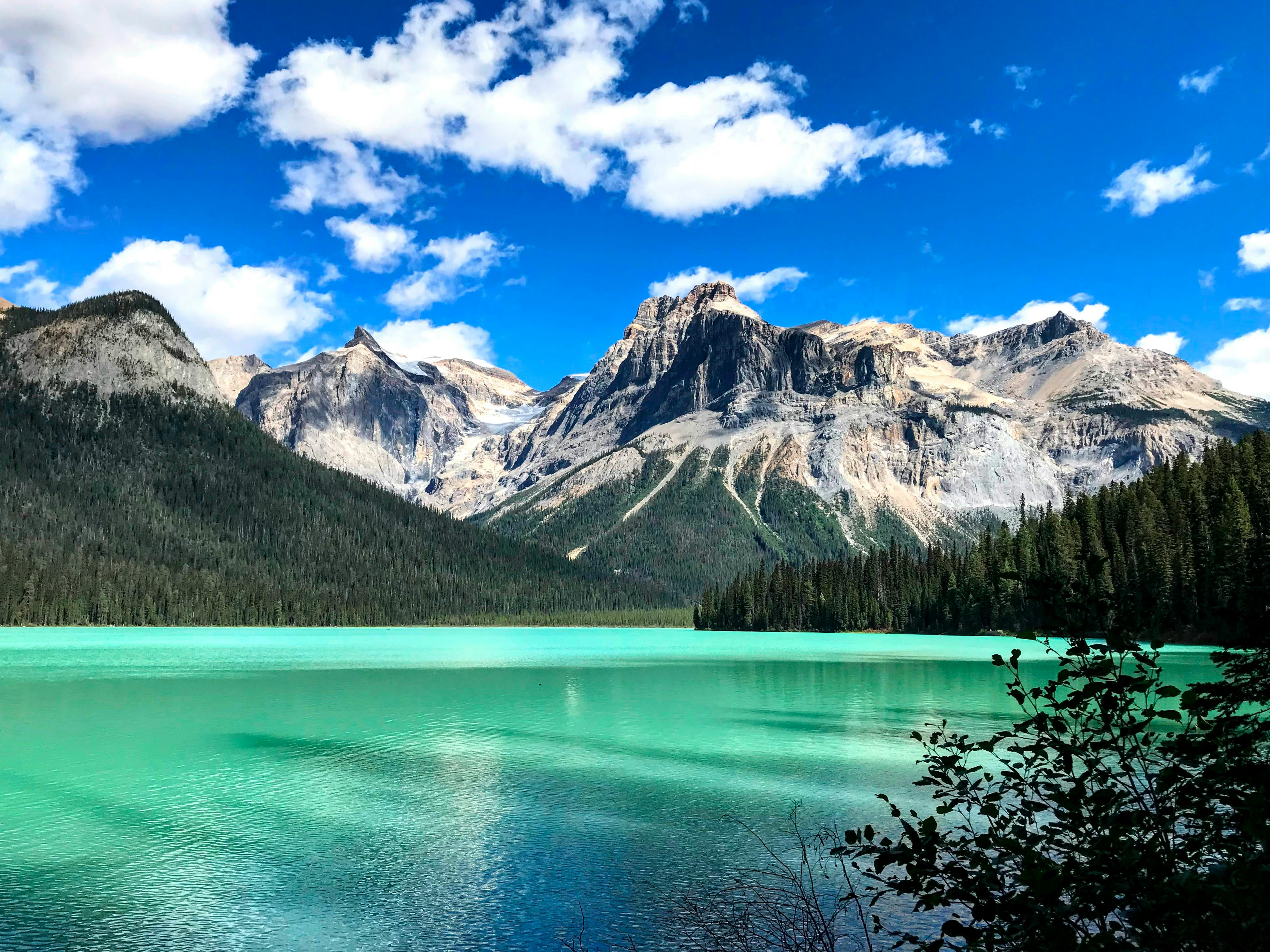 emerald lake in the yoho national park british columbia canada