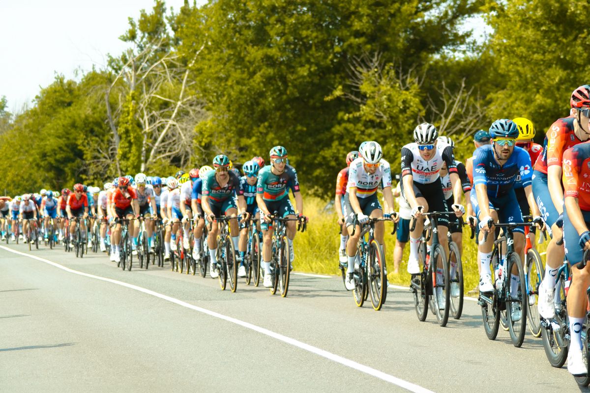 Cyclists in road race