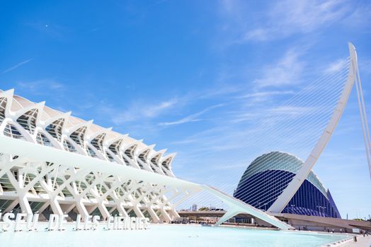 City of Arts and Sciences private tour — Valencia