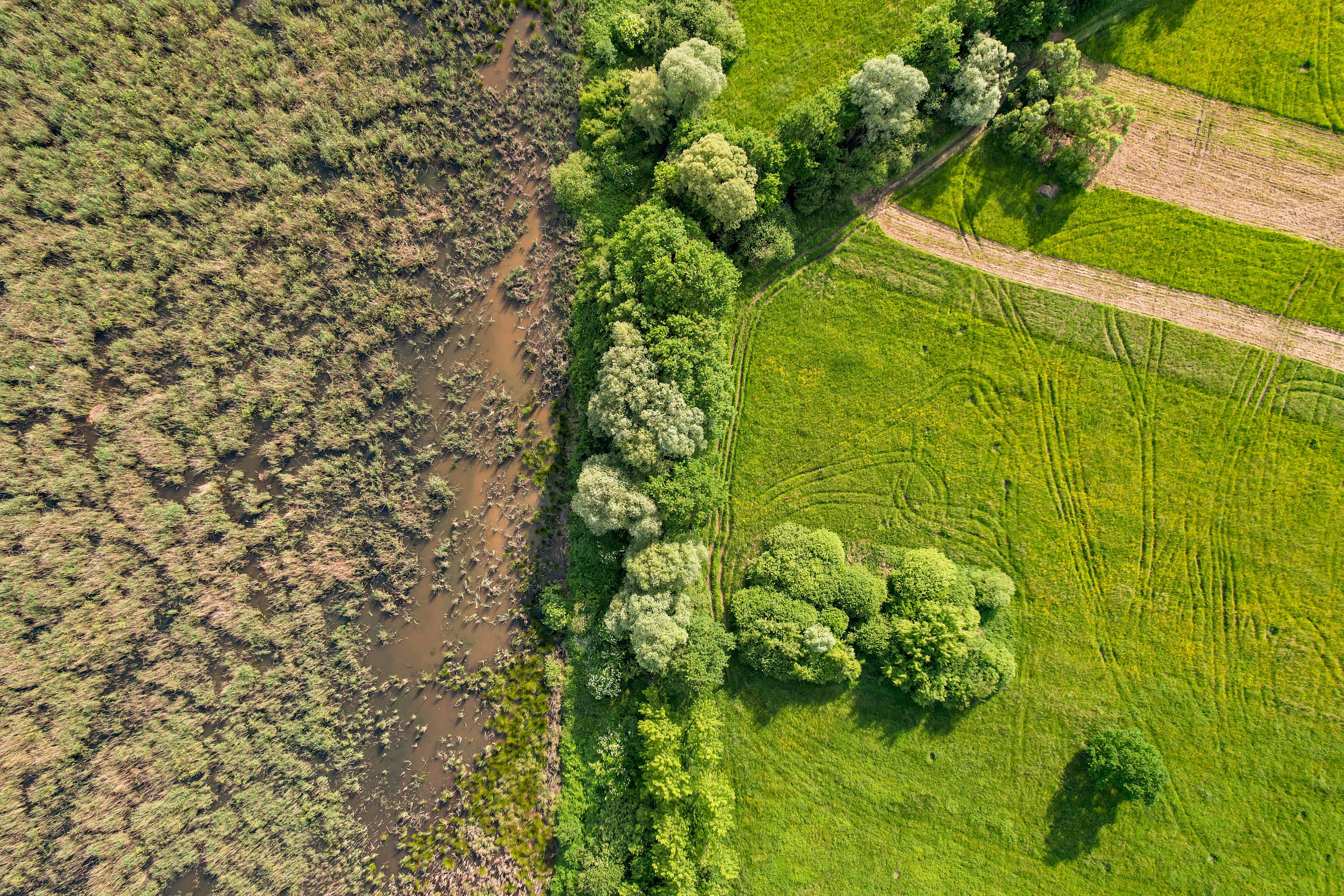 biodiversity consulting business plan — operations image