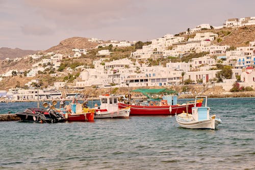 Fotos de stock gratuitas de agua, bahía, barca