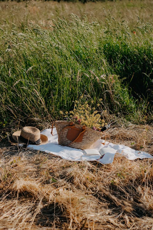 A picnic basket and hat on a blanket in the grass