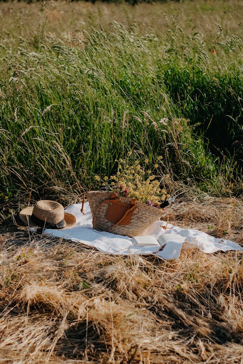 Free Hat and Bag with Flowers on Picnic Blanket Stock Photo