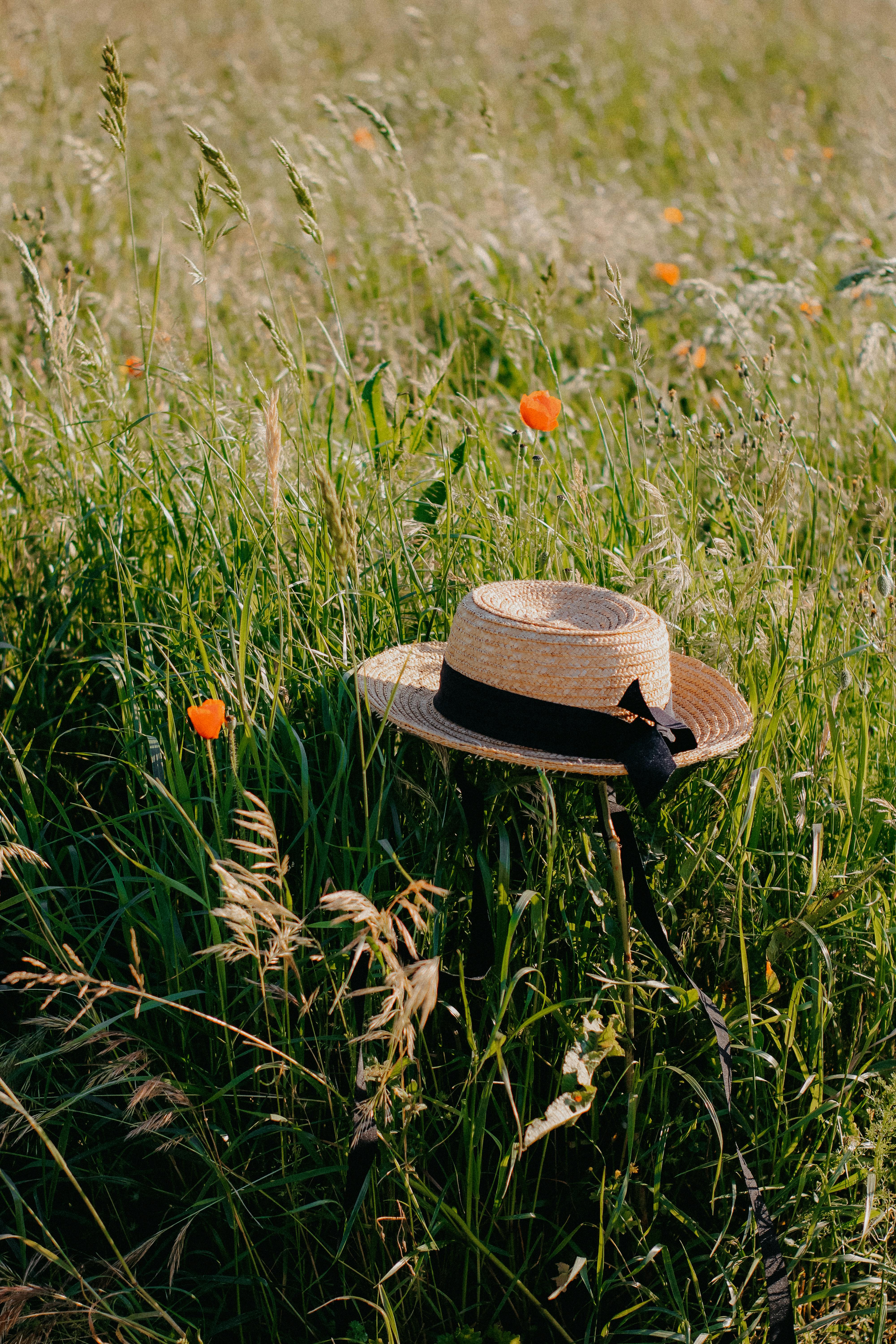 A straw hat with black ribbon in a lush, sunny meadow with poppies.