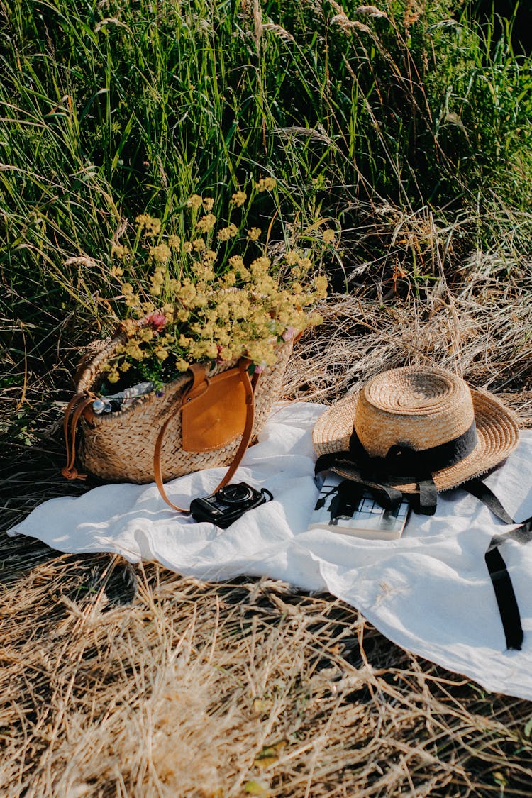 Hat, Camera And Bag With Flowers On Picnic Blanket